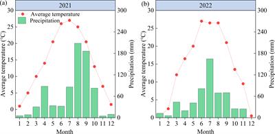 Substituting partial chemical nitrogen fertilizers with organic fertilizers maintains grain yield and increases nitrogen use efficiency in maize